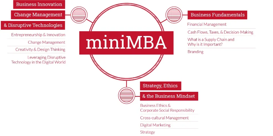 What is a Mini MBA? A Complete Explanation